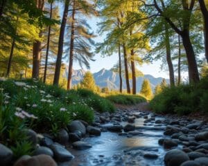 Warum wirkt Natur beruhigend?